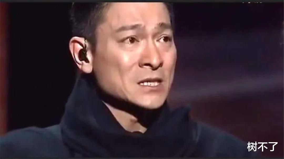 刘德华|刘德华被奥迪坑死了