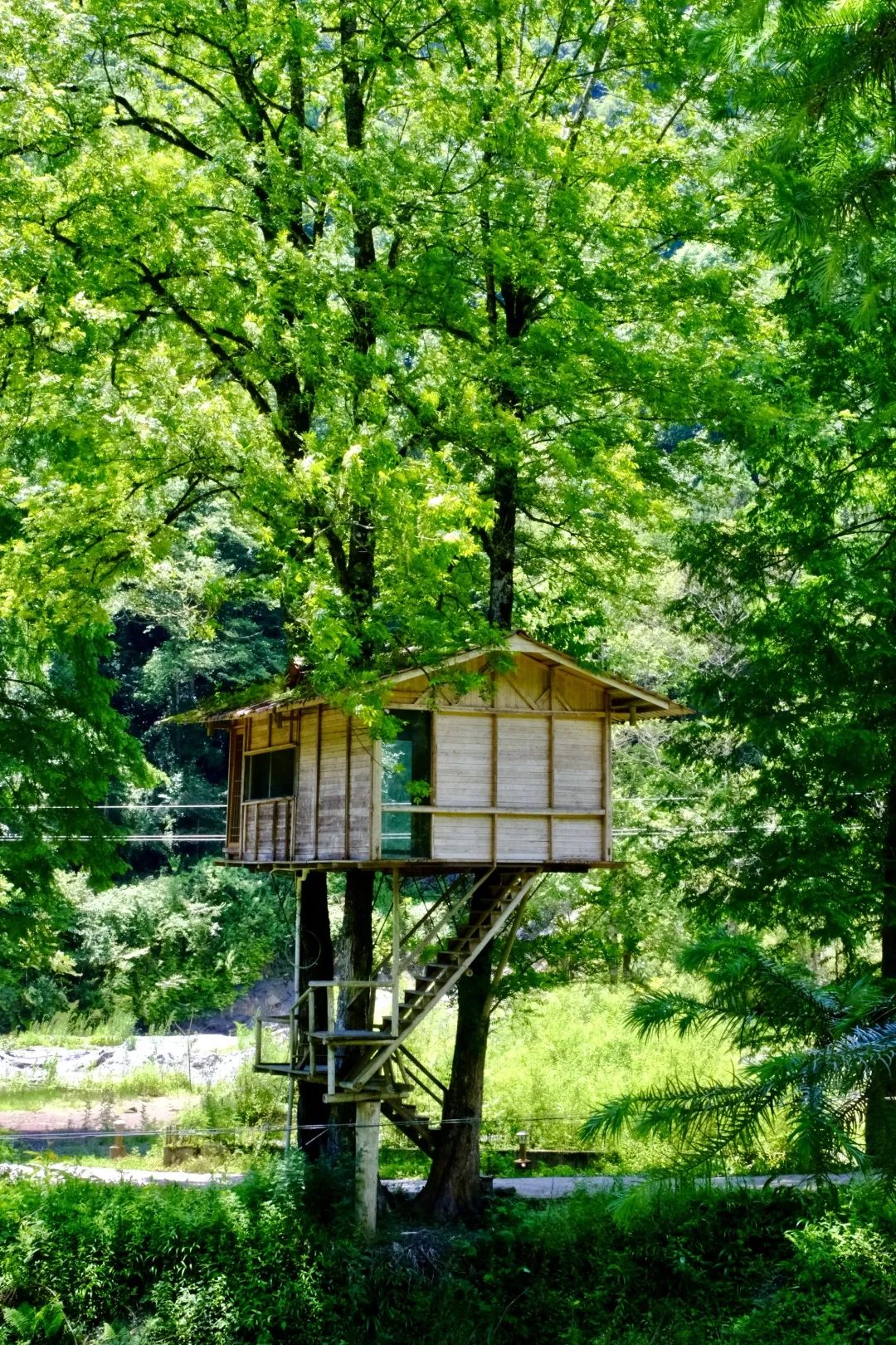 草原|毕业旅行好去处 | 去绵阳，开启清凉一夏！