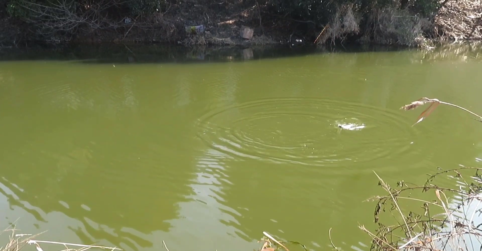 |钓鱼人可不是这么多欺负的