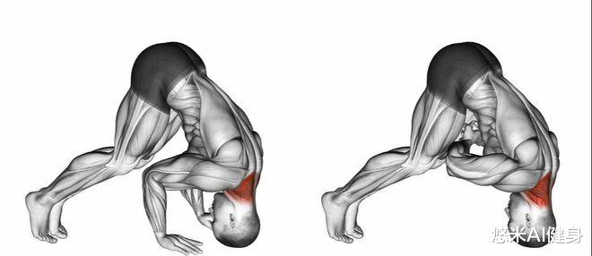 擂台|俄罗斯小伙手臂肌肉强壮,颈部围度50厘米,上擂台比赛轻松KO对手