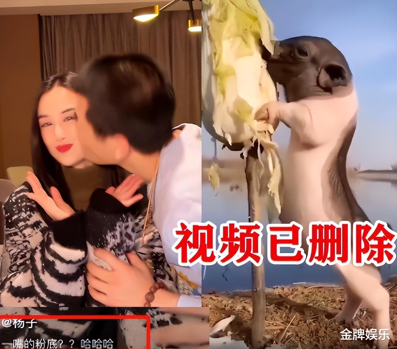 杨子|再添实锤证据!杨子家人和男方前妻相约吃饭,黄圣依却没在