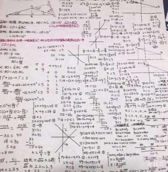 数学|高中生展示\巨无霸\数学草稿纸，网友怒赞：数学版“清明上河图”