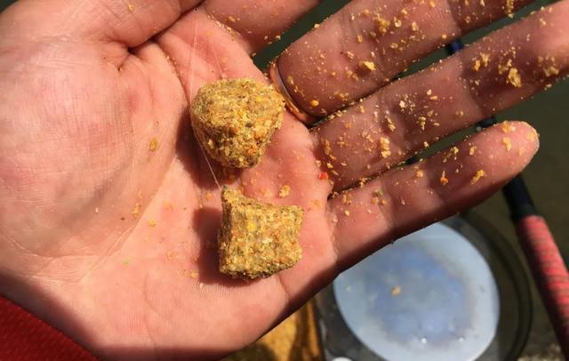 长沙|高目和低目之争:钓大鱼究竟怎么调漂?野钓这种方法最简单