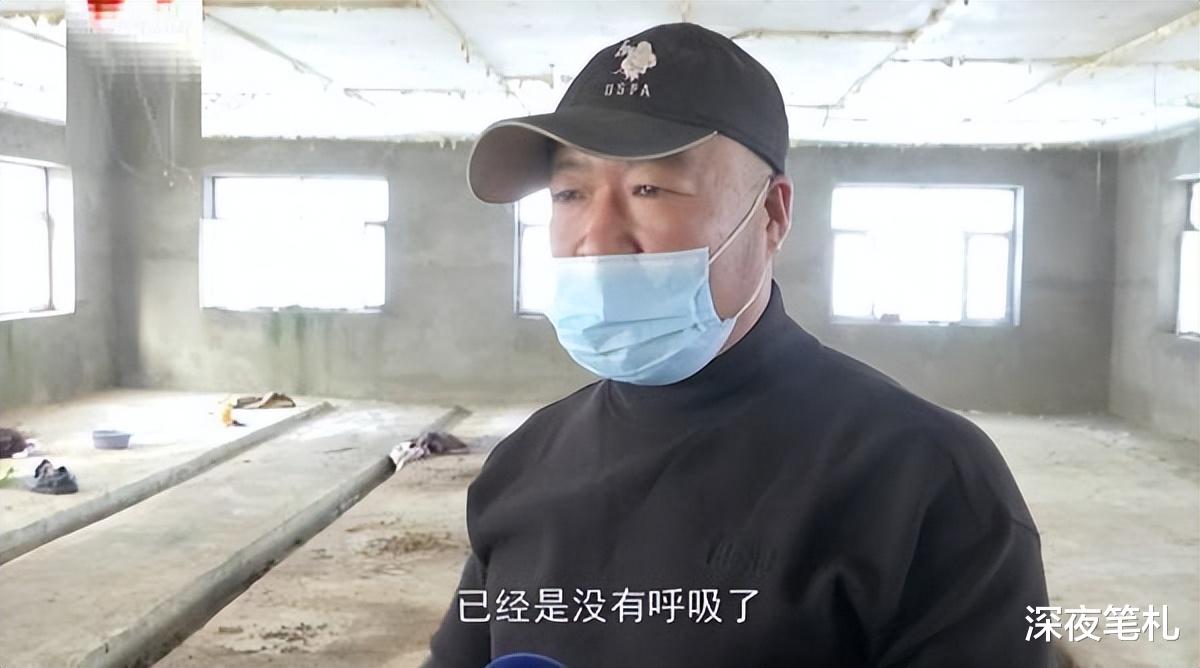 黑龙江哈尔滨,男子半夜为母猪接生,结果自己却遭遇不测意外身亡