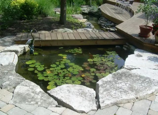 如果你在乡下有个院子,一定要这样设计!不用再考虑城里买房了