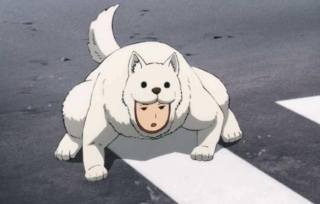 一拳超人|一击男:未尝败绩的S级英雄,金属骑士不给机会,警犬侠是无敌的