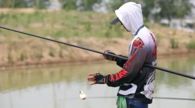 |冬季野钓，会诱鱼、留鱼，天冷也能连竿