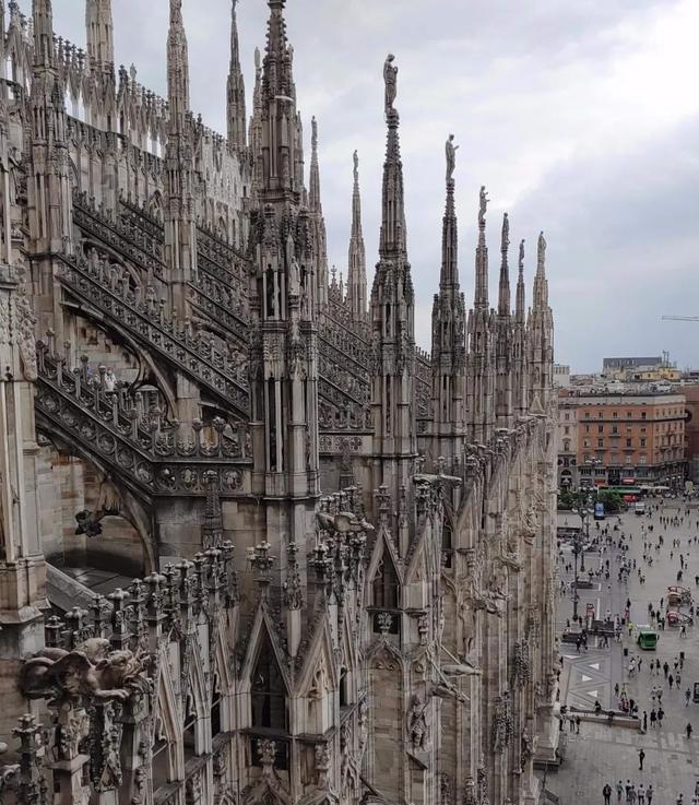 森林公园|40个让人敬畏的巨物