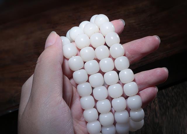 白玉菩提|菩提根和白玉菩提，根本就不是一种文玩！至今仍有无数人不知道！