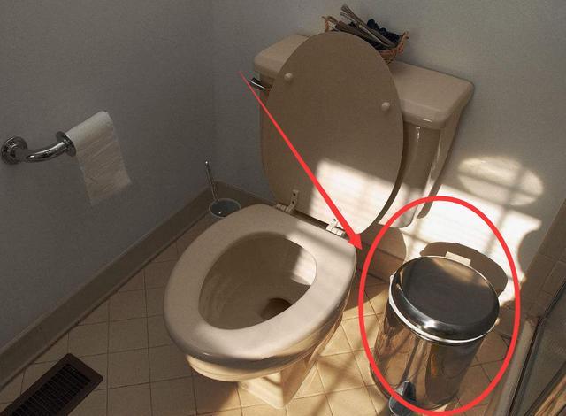 厕纸应该扔进马桶里还是垃圾桶?好多人做错,难怪家里病毒超标