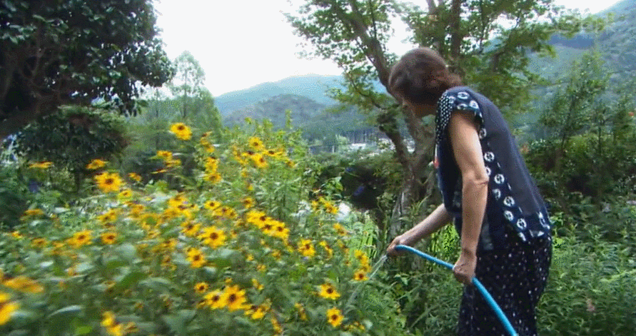 身为贵族的她跑到乡下做农妇,与花草庭院为伴,40岁择一山终老