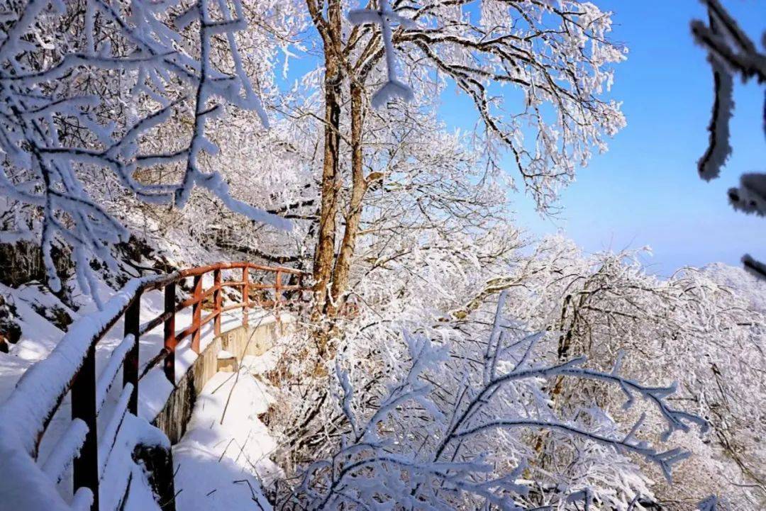 光雾山|冬天的光雾山期待你来！大坝雪场蜕变升级，滑雪嬉雪“华丽变身”