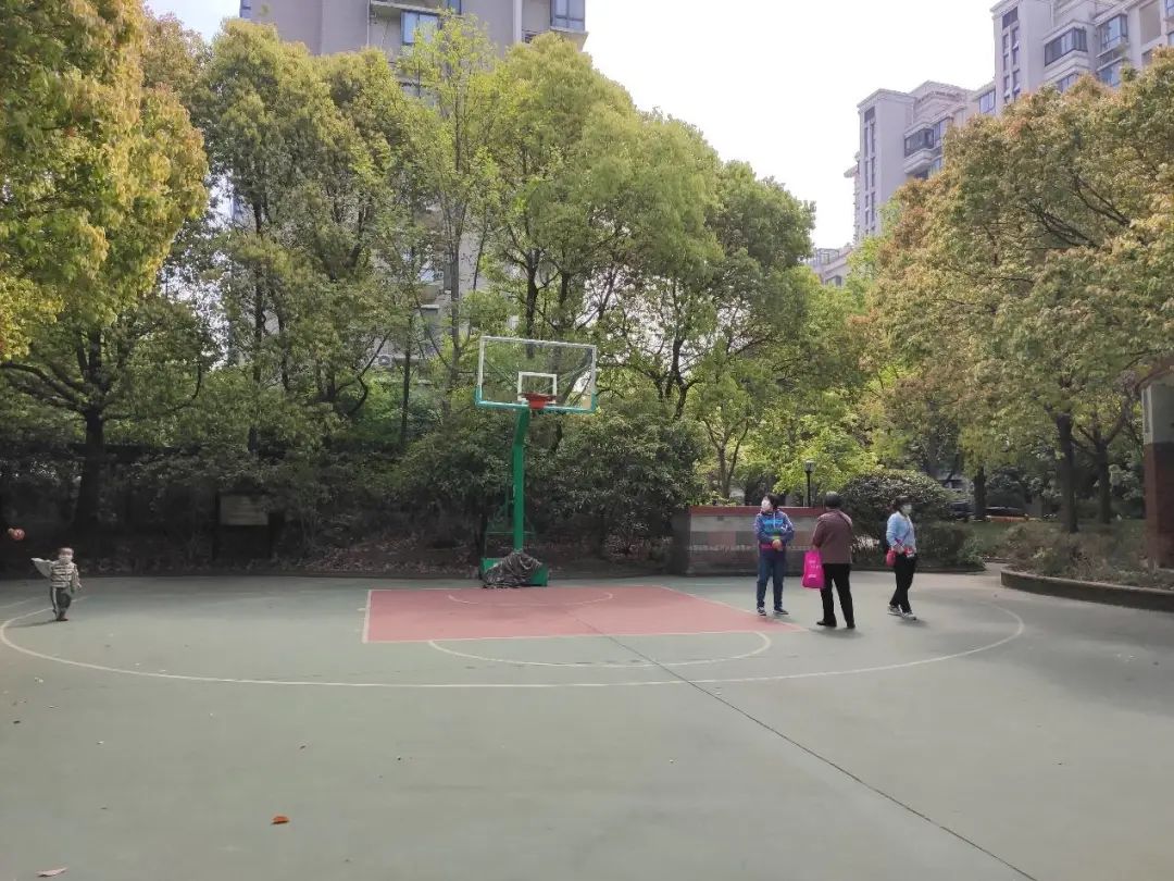 普陀|对口新普陀小学品质最好的小区之一，长风板块|中星海上名庭测评