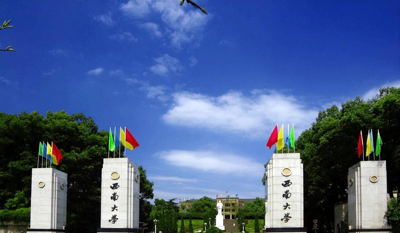 求职|西南大学教授和学生发生不当关系后续,学院撤下其简历,处境尴尬