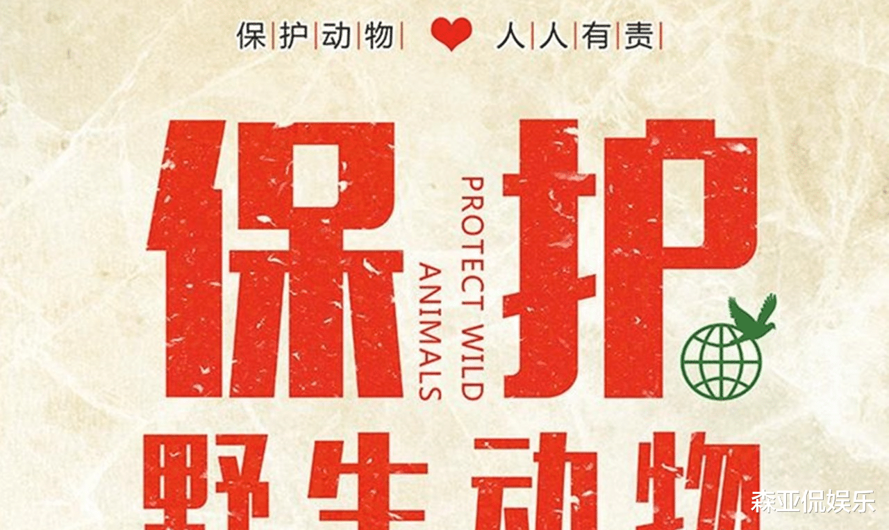 智商税|广东男子夜钓打瞌睡，银环蛇趴在他脚边睡着了，网友：与死神擦肩