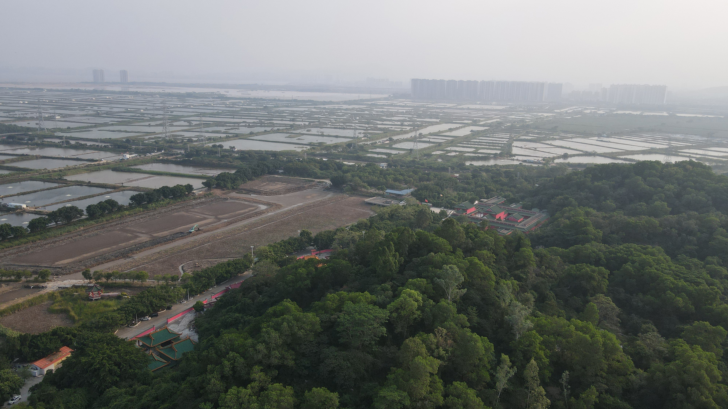 海边|城市养育基地，靠近海边的咸淡水