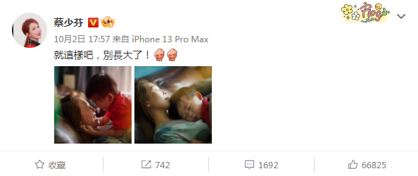 张晋|张晋低调为儿子庆生,妈妈和鱼蛋温馨同框,羡煞旁人