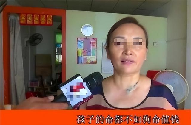 案例男童被狗咬伤,其父杀狗遭索赔2万,狗主人:它比你儿子金贵