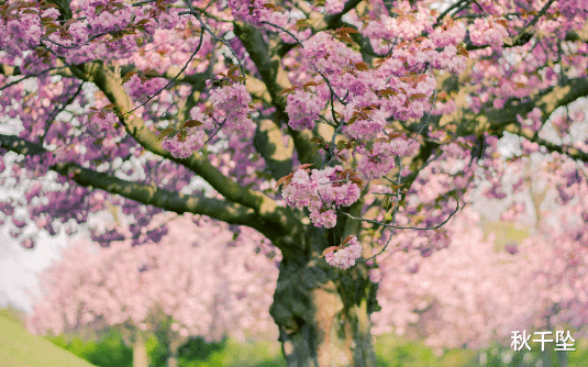 |有些人,明明一直很努力,但抵不过现实