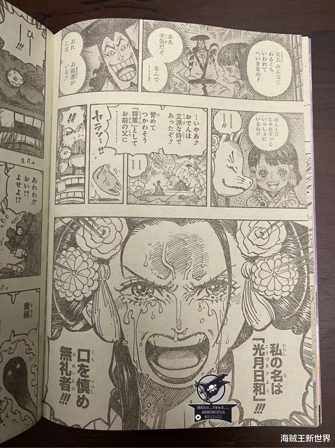 海贼王|海贼王1044话第二次情报更新|全图整理|觉醒的五档！橡胶果实是动物系人人果实幻兽种你能否接受？