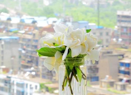 |新的一年，提升自己的6个原则，请逼自己遵守！