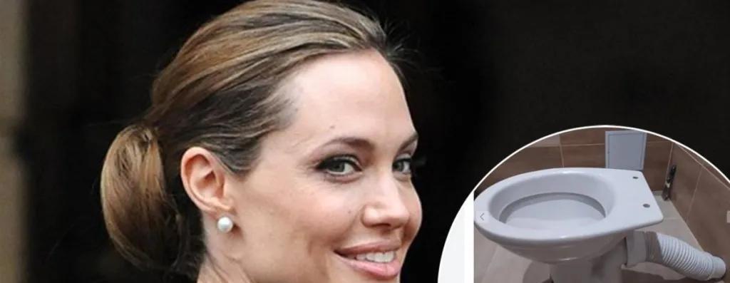 安吉丽娜·朱莉|好莱坞女星在餐厅上完厕所后，他拆下马桶拿到网上卖，竟卖出67万