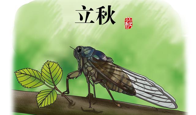 立秋到了,俗话说“早立秋冷嗖嗖,晚立秋热死牛”,啥意思
