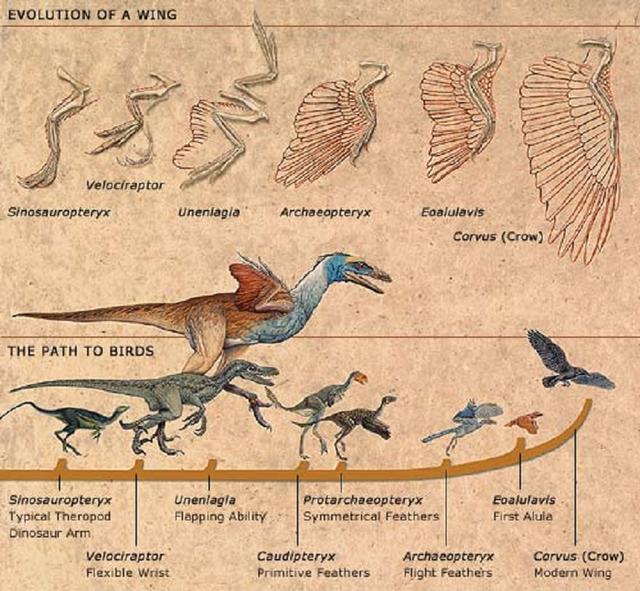 谁能笑到最后?地球上最水火不容的生物是啥?仇怨长达3600万年