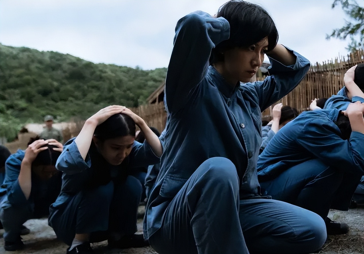 流麻沟十五号|电影《流麻沟十五号》的时代温柔