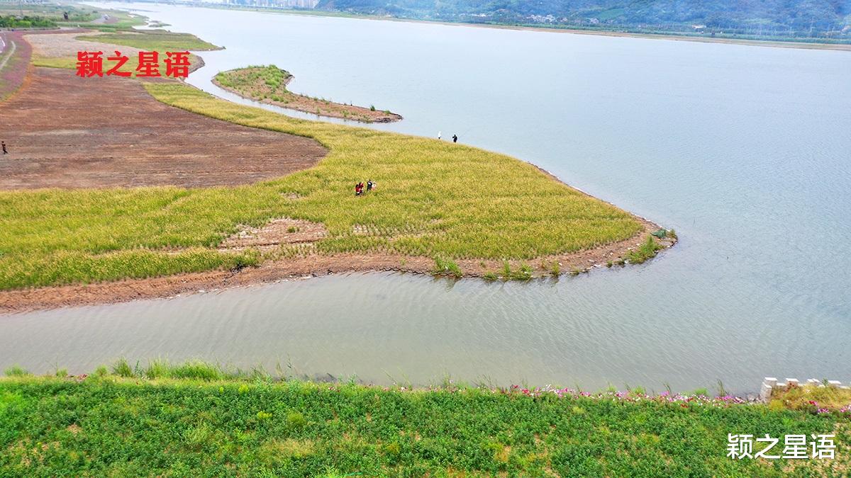 在水一方|梅山湾畔，花海绵延，在水一方，绚烂！