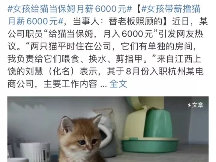 |四菜一汤收费66元，上门给人做饭有啥新鲜的？