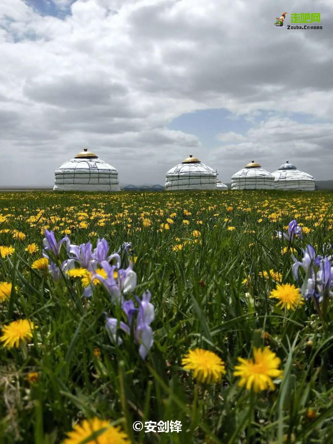 自驾|抓住暑假的尾巴！这14个最佳避暑目的地，景美人少不扎堆
