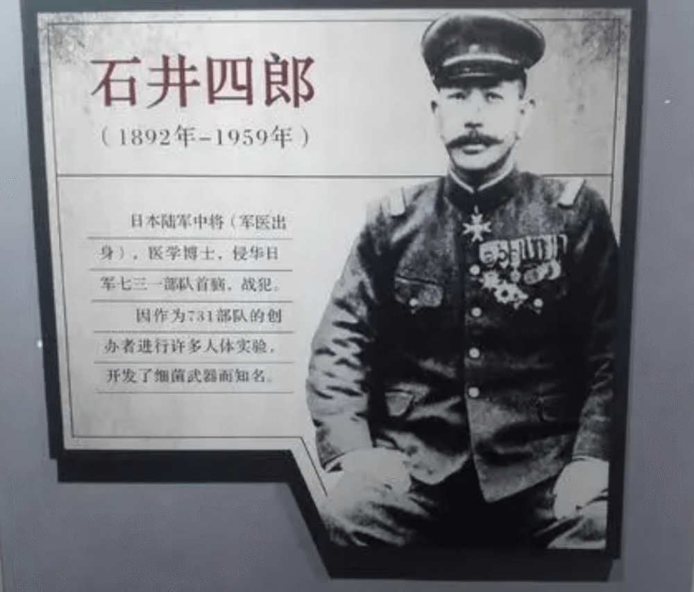 可恶的蚊子竟是“益虫”?如果世界上没有蚊子,会变成什么样?