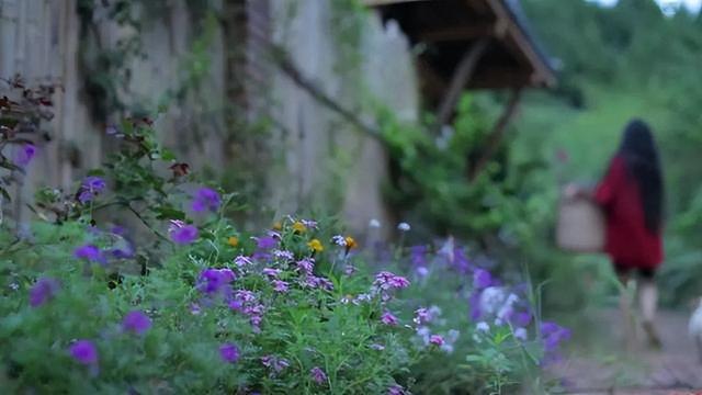 向往李子柒的田园生活,不妨栽下“三种花”,阳台也能变“仙境”