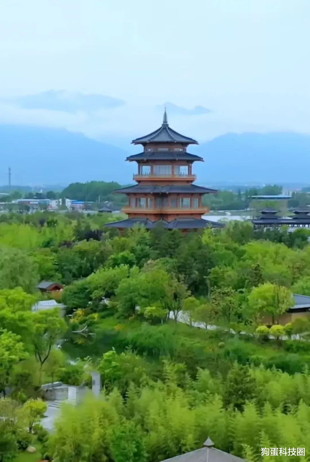 中国北方城市绿化,只服西安