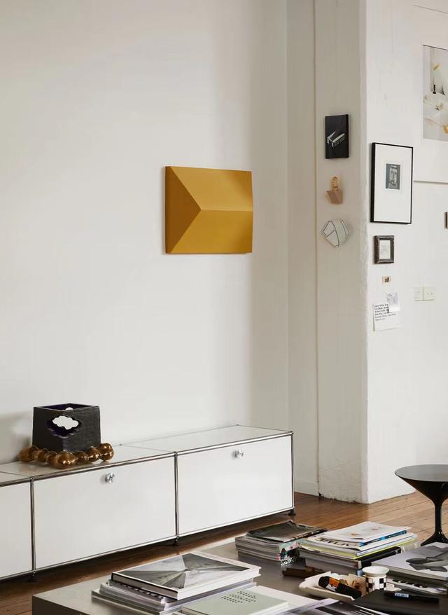 一人独居,与狗为伴,工作生活两不误,这位90后的日子过得真香