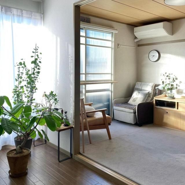 51岁日本阿姨独居33年，全屋温暖治愈，原来一个人居住这么爽！