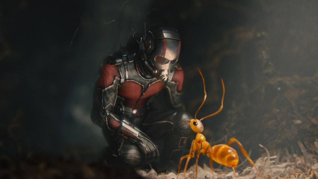 人类和蚂蚁或是同一种生物，渺小而不自知，才是高级生物的本质！