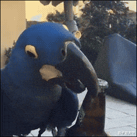 |43岁女星疑翻车!拒绝支付男演员月薪,被曝曾插足圈内人婚姻