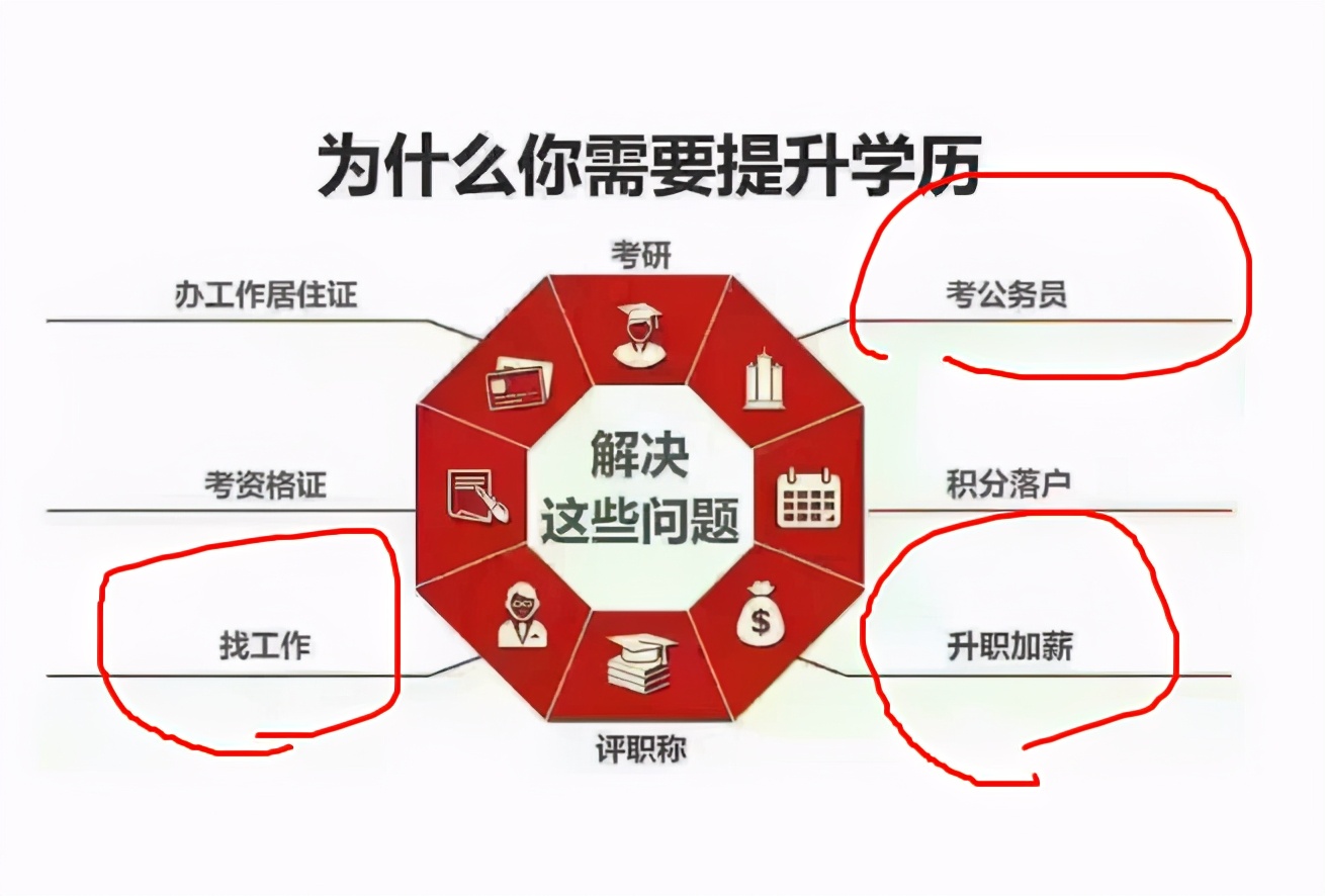 本科生|“国家承认，我们不承认”，本科生求职被拒，真实原因现实又无奈