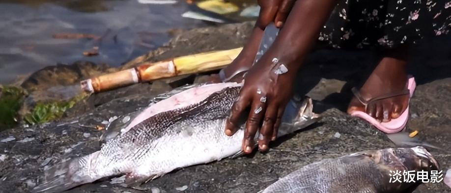 香格里拉|半个足球场大的小岛住着上千人，岛上人不愿搬，外面的人想住进去