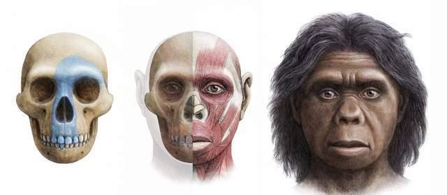 地球10万年前至少还有6种人类，为何最后，只剩下我们？