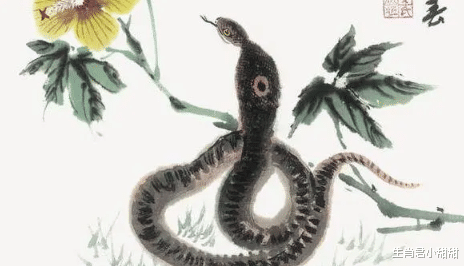 属蛇|事业运势旺到爆表财运不断抵达，属蛇人在职场大放异彩，收获多多