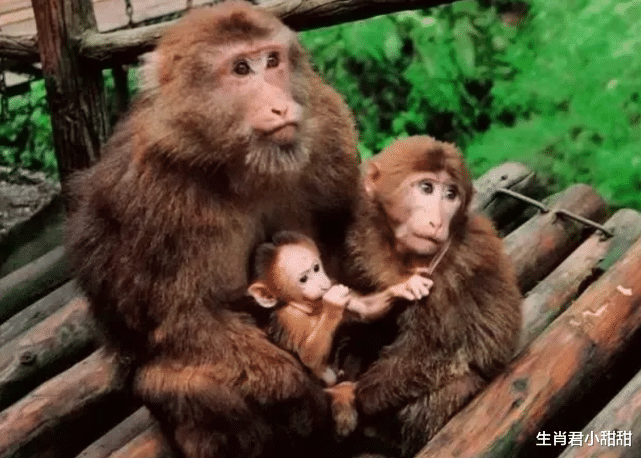 双鱼座|在职场中不怕犯错,不懂就问不会就学,属猴人迎来事业转机