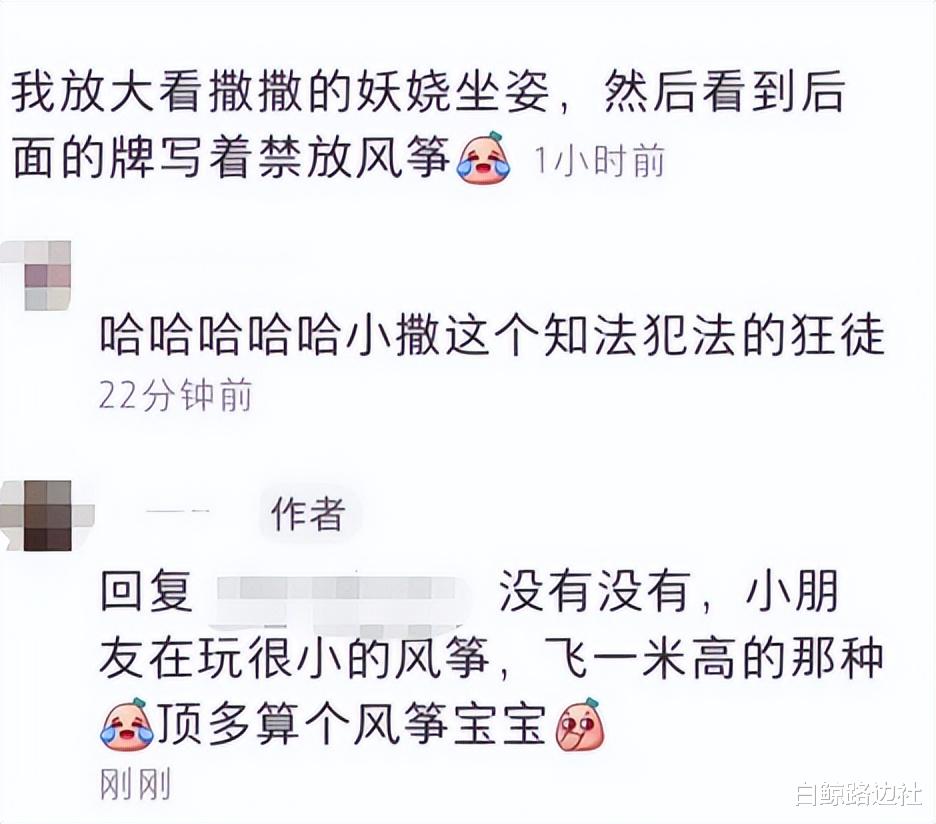 撒贝宁|撒贝宁一家四口公园野餐，李白腿长到老公腰部，小腹微凸疑再怀孕