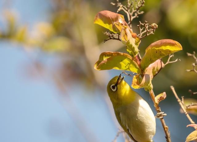 |如今职场中的年轻人,存在的主要问题是哪些?该怎么解决?