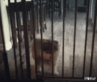 |“这玩意也能吃吗？有谁来给科普一下...”哈哈哈艺高人胆大