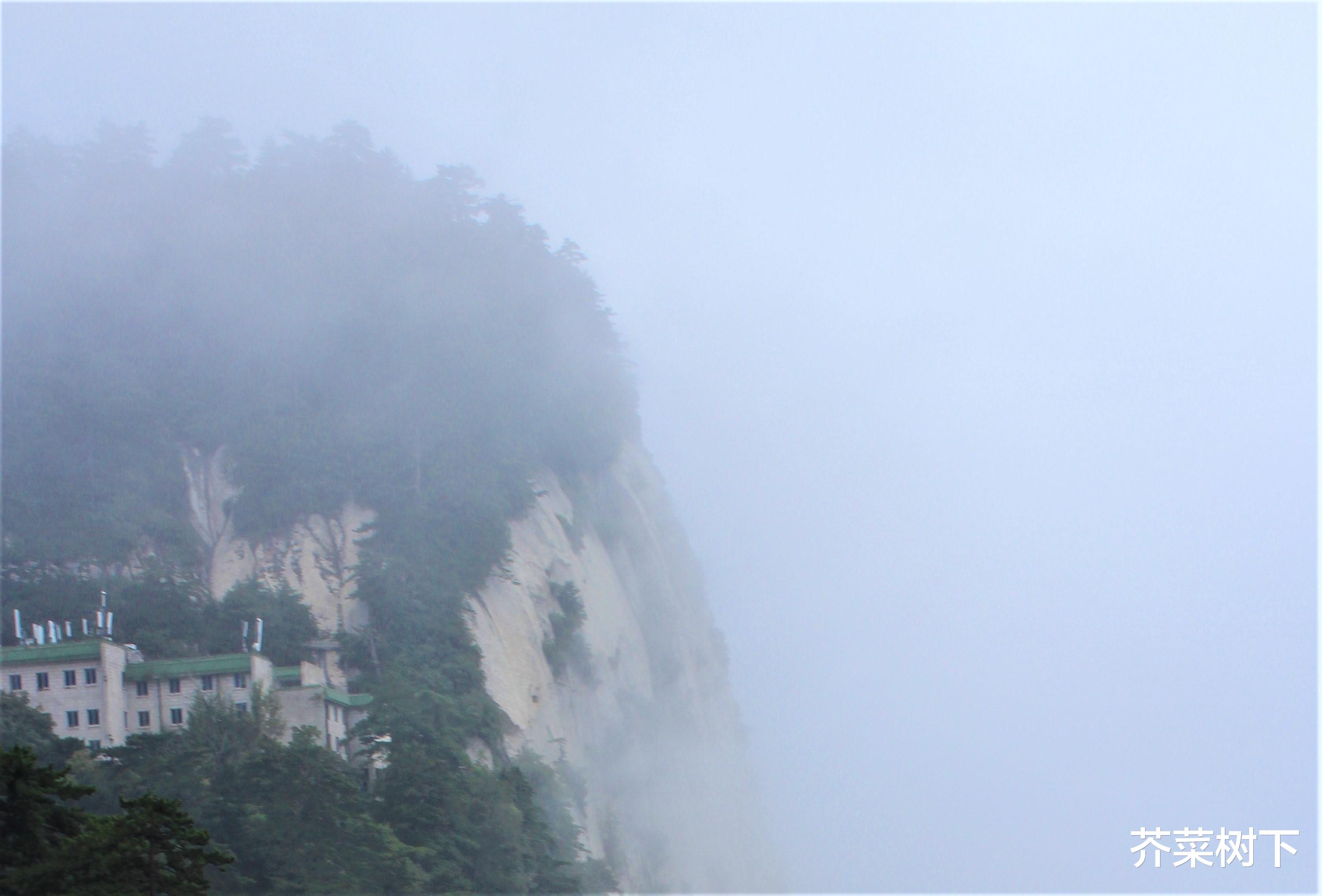 |真的想要，就去争取