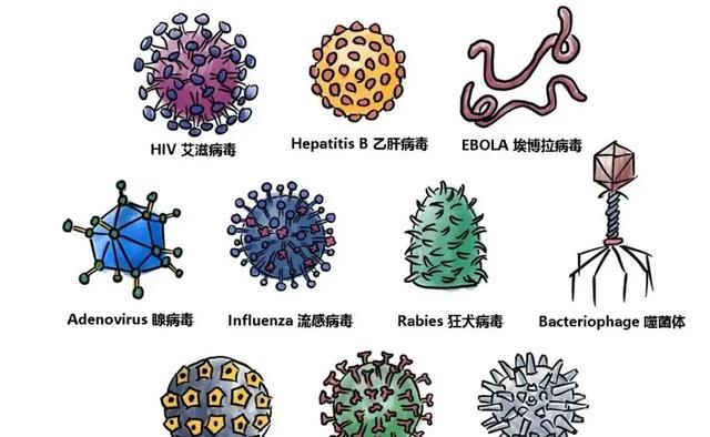 北极发现4.6万年前“尸体”,地球或在演变,人类怎么办?