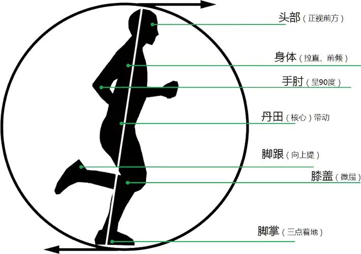 饮食|健身战“疫”我选禅跑,简析禅跑的要领和好处